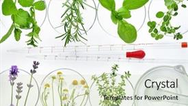  Presentation with mortar - PPT theme featuring glass grinding - fresh herbs dropper and mortar background and a soft green colored foreground