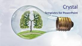  Presentation with growing tree - PPT theme featuring glass lightbulb with green tree background and a sky blue colored foreground