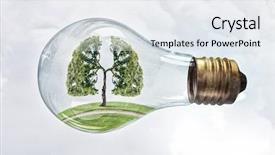  Presentation with growing tree - Slide deck featuring glass lightbulb with green tree background and a sky blue colored foreground
