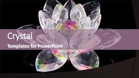  Presentation with lotus flower - Slides with glass lotus flower on black background and a coral colored foreground