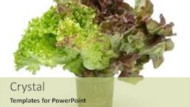  Presentation with lettuce - Presentation design having glass-mug-with-a-variation background and a yellow colored foreground