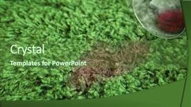  Presentation with wine green - Slide set featuring glass of red wine spilled background and a tawny brown colored foreground