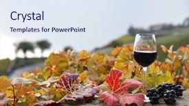  Presentation with white wine and red - Presentation theme featuring glass of red wine on the terrace vineyard in lavaux region switzerland background and a sky blue colored foreground