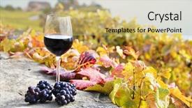  Presentation with white wine and red - Audience pleasing PPT theme consisting of glass of red wine on the terrace vineyard in lavaux region switzerland backdrop and a yellow colored foreground