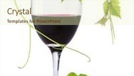  Presentation with wine green - Cool new PPT theme with glass of red wine with a green leaf on top backdrop and a soft green colored foreground
