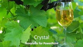  Presentation with grapevine - Slides enhanced with glass-of-white-wine-standing background and a  colored foreground