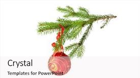  Presentation with fir tree - PPT theme having glass sphere plant - christmas ball hanging on fir background and a sky blue colored foreground
