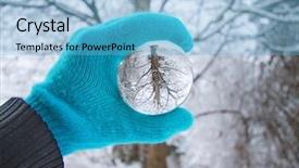  Presentation with crystal ball - PPT layouts having glass sphere plant - crystal photography ball in front background and a light blue colored foreground