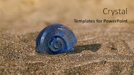  Presentation with sea glass - Theme enhanced with glass-tropical-sea-shell background and a coral colored foreground