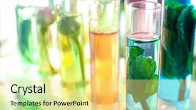  Presentation with oils - Presentation theme with glass tubes with different perfume background and a blonde colored foreground