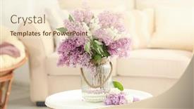  Presentation with flowers vase - PPT theme with vase with beautiful lilac flowers background and a cream colored foreground