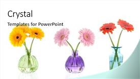  Presentation with white flowers - PPT layouts with accelerate - dirty brake clutch and accelerator background and a dark gray colored foreground