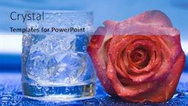 Presentation with blue rose - Colorful theme enhanced with glass with water and rose over blue backdrop and a light blue colored foreground