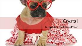  Presentation with art to heart - PPT theme consisting of glasses and red party dress background and a coral colored foreground