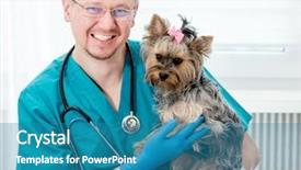  Presentation with veterinary - Audience pleasing slide deck consisting of looking at camera veterinary backdrop and a teal colored foreground