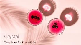  Presentation with beverages - Presentation with glasses-with-drinks-and-fruits background and a lemonade colored foreground