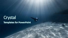  Presentation with water sun - Slides having gliding - woman freediver glides background and a ocean colored foreground