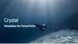  Presentation with water sun - PPT theme with gliding - woman freediver glides background and a ocean colored foreground