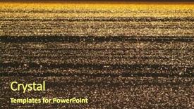  Presentation with shimmering - Presentation consisting of chopstick - food dimsum cooking - fried background and a tawny brown colored foreground