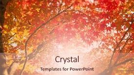  Presentation with fall foliage - Theme with glisten - glistening autumn trees orange background and a lemonade colored foreground