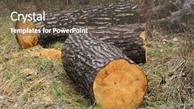  Presentation with pine forest - Cool new PPT theme with global destruction - pine wooden logs in forest backdrop and a tawny brown colored foreground