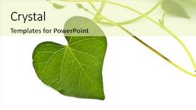  Presentation with global health - Colorful PPT layouts enhanced with global health - green heart leaf isolated backdrop and a blonde colored foreground