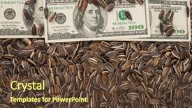  Presentation with rustic sunflower - Colorful presentation theme enhanced with global marketing free - sunflower seeds and dollars backdrop and a  colored foreground