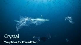  Presentation with plastic bag - Slide set with floating in the oceans shark background and a navy blue colored foreground