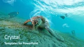  Presentation with turtle - Audience pleasing slide set consisting of captioning - underwater concept of global problem backdrop and a ocean colored foreground