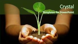  Presentation with black hands - Cool new presentation theme with global themes - plant between hands on black backdrop and a tawny brown colored foreground