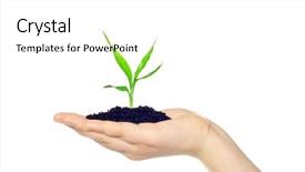  Presentation with hands planting a cabbage seedling - Audience pleasing theme consisting of agriculture forage harvester and transport backdrop and a light gray colored foreground