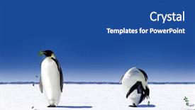  Presentation with global effects - Audience pleasing slide set consisting of global warming in antarctica backdrop and a ocean colored foreground