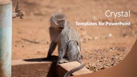  Presentation with global warming - Presentation theme featuring global-warming-causing-serious-problems background and a coral colored foreground