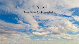  Presentation with fuzzy - PPT layouts having strays - portrait of adorable stray dog background and a seafoam green colored foreground