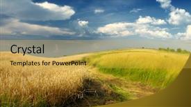  Presentation with field of dreams - Beautiful theme featuring global warming effect agriculture - rolling field backdrop and a yellow colored foreground