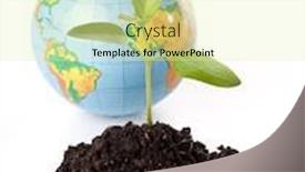  Presentation with transplant - Cool new PPT theme with globe-and-transplant-of-tree backdrop and a soft green colored foreground