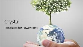  Presentation with hand holding earth - Amazing PPT theme having globe earth in human hand backdrop and a light gray colored foreground