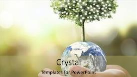  Presentation with hand holding earth - Slide set consisting of globe earth in human hand background and a yellow colored foreground