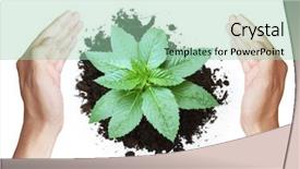  Presentation with tree - Presentation design featuring globe hands god background - hand holding young tree background and a  colored foreground