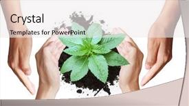  Presentation with hands holding a tree - Amazing presentation design having globe hands god background - hand holding young tree backdrop and a  colored foreground