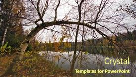  Presentation with gloomy - Slides consisting of gloomy autumn lake it is photographed in russia 60 kilometers from moscow background and a tawny brown colored foreground