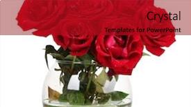  Presentation with roses - Beautiful PPT theme featuring glorious - beautiful red roses backdrop and a crimson colored foreground