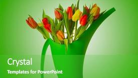  Presentation with 3d character colorful music - Beautiful theme featuring glorious - bouquet of fresh living colorful backdrop and a shamrock green colored foreground