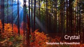  Presentation with light rays - Beautiful presentation theme featuring glorious - warm autumn scenery backdrop and a wine colored foreground