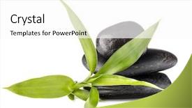  Presentation with healthcare directive - Amazing slide deck having glossy black - zen pebbles balance spa backdrop and a white colored foreground