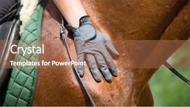  Presentation with horse - Theme featuring glove on a horse background and a coral colored foreground