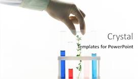  Presentation with flax plant - Audience pleasing presentation design consisting of gloved-hand-of-contemporary-biologist backdrop and a white colored foreground