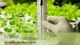  Presentation with vertical farm - PPT theme with gloved-hand-of-vertical-farm background and a yellow colored foreground