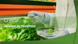  Presentation with pipette - Slide deck with gloved-hands-of-biologist-holding background and a tawny brown colored foreground