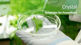  Presentation with substance - Amazing slide deck having gloved-hands-of-contemporary-agroengineer backdrop and a shamrock green colored foreground